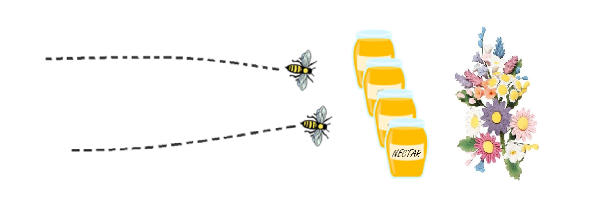 Caches sit in front of webservers to speed up the delivery of web pages The image shows 2 bees retrieving nectar from some jars, a metaphor for a web cache. The jars sit in front of a bunch of flowers, a metaphor for the webserver.