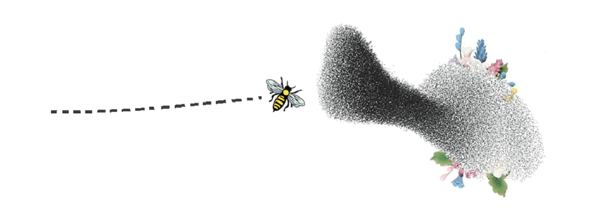 Denial of Service attacks can prevent, or slow down, genuine requests from reaching the webserver The image shows a swarm of bees nearly completely covering a bunch of flowers as a metaphor for a Denial of Service attack