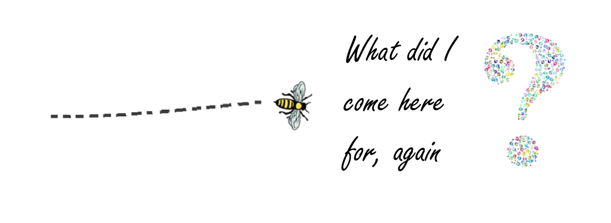 A lack of memory means a process may time-out before it completes The image shows a bee stopping in mid-flight with text 'What did I come here for, again?', to illustrate how a server process can time-out when there is inadequate memory.
