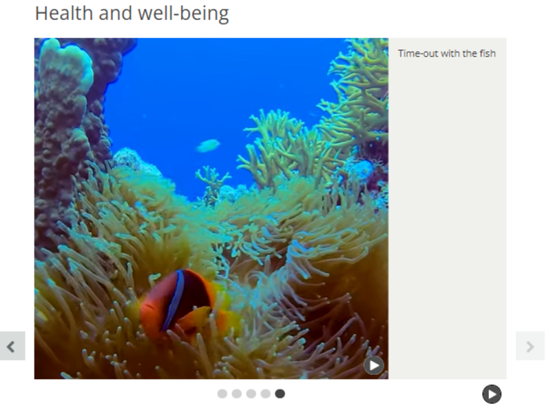 Screenshot of slideshow slide using Under the sea fish and coral from YouTube video ePK8fEXIF6Y showing next previous, slide indicators and autoplay